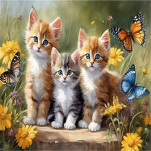 Carica l'immagine nel visualizzatore di Gallery, Cat-Square Diamond Painting-40x30cm
