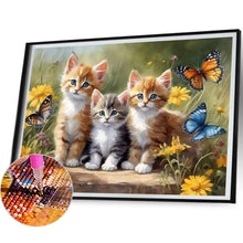 Carica l'immagine nel visualizzatore di Gallery, Cat-Square Diamond Painting-40x30cm