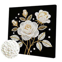 Carica l'immagine nel visualizzatore di Gallery, Pumpkin-Partial Pearl Painting Kit with Frame-25x25cm