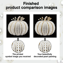 Carica l'immagine nel visualizzatore di Gallery, Pumpkin-Partial Pearl Painting Kit with Frame-25x25cm