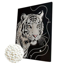 Carica l'immagine nel visualizzatore di Gallery, Starry Sky-Partial Pearl Painting Kit with Frame-30x40cm