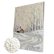 Carica l'immagine nel visualizzatore di Gallery, Starry Sky-Partial Pearl Painting Kit with Frame-30x40cm