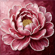 Carica l'immagine nel visualizzatore di Gallery, New Pearl Painting-Partial Pearl Painting Kit with Frame-25x25cm