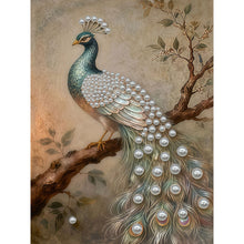 Carica l'immagine nel visualizzatore di Gallery, Woman-Partial Pearl Painting Kit with Frame-30x40cm