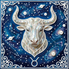 Carica l'immagine nel visualizzatore di Gallery, Pisces-Partial Pearl Painting Kit with Frame-25x25cm