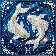 Carica l'immagine nel visualizzatore di Gallery, Pisces-Partial Pearl Painting Kit with Frame-25x25cm