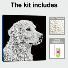 Carica l'immagine nel visualizzatore di Gallery, Golden Retriever-Partial Pearl Painting Kit with Frame-25x25cm