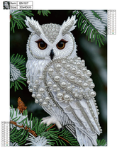 Carica l'immagine nel visualizzatore di Gallery, Pearls Owl Partially specially shaped Diamond painting-30x40cm