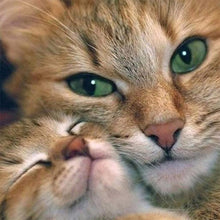 Carica l'immagine nel visualizzatore di Gallery, Gatto - diamante rotondo - 30x30cm