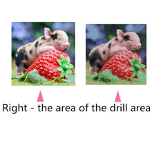 Carica l'immagine nel visualizzatore di Gallery, Maiale carino - diamante quadrato pieno - 30x30cm