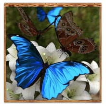 Carica l'immagine nel visualizzatore di Gallery, Animale - diamante rotondo - 30x30cm