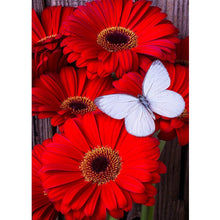 Carica l'immagine nel visualizzatore di Gallery, Fiore di farfalla - Pittura a diamante tonda completa (40 * 50 cm)