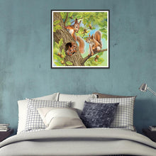 Carica l'immagine nel visualizzatore di Gallery, Scoiattolo - diamante rotondo - 30x30cm