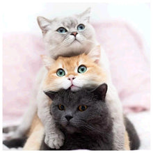 Carica l'immagine nel visualizzatore di Gallery, Gatto incantevole - pittura di diamante rotondo completo - 30x30cm