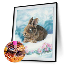Carica l'immagine nel visualizzatore di Gallery, Coniglio con stupore - diamante rotondo completo - 30x40cm