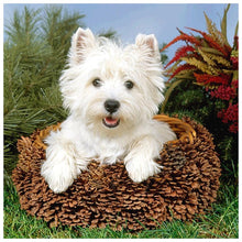 Carica l'immagine nel visualizzatore di Gallery, Cane - diamante rotondo pieno - 30x30cm