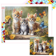 Carica l&#39;immagine nel visualizzatore di Gallery, Cat-Square Diamond Painting-40x30cm
