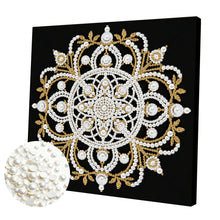 Carica l'immagine nel visualizzatore di Gallery, Pumpkin-Partial Pearl Painting Kit with Frame-25x25cm

