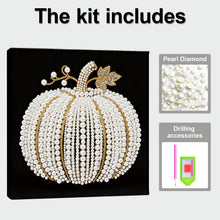 Carica l'immagine nel visualizzatore di Gallery, Pumpkin-Partial Pearl Painting Kit with Frame-25x25cm
