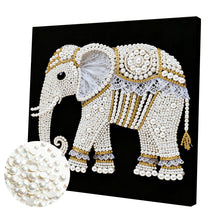 Carica l'immagine nel visualizzatore di Gallery, Pumpkin-Partial Pearl Painting Kit with Frame-25x25cm
