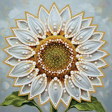 Carica l'immagine nel visualizzatore di Gallery, New Pearl Painting-Partial Pearl Painting Kit with Frame-25x25cm
