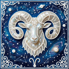 Carica l'immagine nel visualizzatore di Gallery, Pisces-Partial Pearl Painting Kit with Frame-25x25cm
