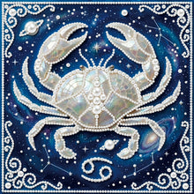 Carica l'immagine nel visualizzatore di Gallery, Pisces-Partial Pearl Painting Kit with Frame-25x25cm
