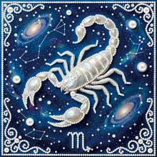 Carica l'immagine nel visualizzatore di Gallery, Pisces-Partial Pearl Painting Kit with Frame-25x25cm

