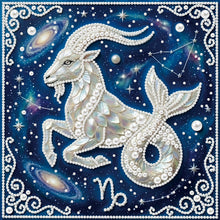 Carica l'immagine nel visualizzatore di Gallery, Pisces-Partial Pearl Painting Kit with Frame-25x25cm
