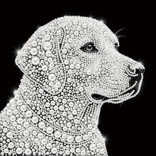 Carica l'immagine nel visualizzatore di Gallery, Golden Retriever-Partial Pearl Painting Kit with Frame-25x25cm
