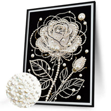Carica l'immagine nel visualizzatore di Gallery, Owl-Partial Pearl Painting Kit Without Frame-30x40cm
