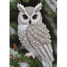 Carica l'immagine nel visualizzatore di Gallery, Pearls Owl Partially specially shaped Diamond painting-30x40cm
